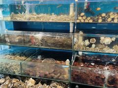 -仙螺岛海鲜自助餐厅(总店)