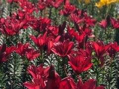 -长春公园(普阳街道)