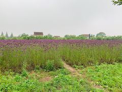 -江天生态园餐厅