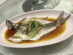 清蒸白鱼-双子楼大酒店(城开国际写字楼店)