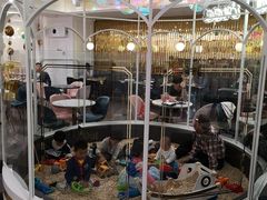 -Lilliput粒粒堡亲子餐厅(置汇旭辉店)