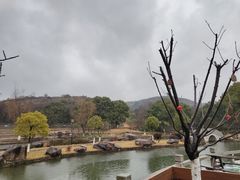 -白马涧龙池景区