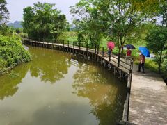 -会仙湿地