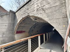 -白水寺森林公园