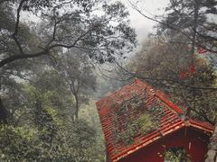 -青城山