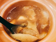 -大中鱼翅 Taitong Shark Fin