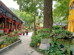 -白家大院·王府宫廷菜(苏州街店)