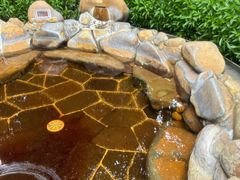 -凤翔首邑温泉度假村