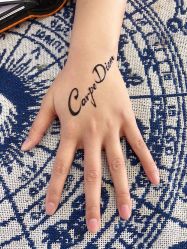 -Ann's海娜手绘纹身工作室