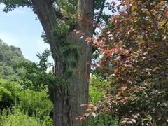 -威海华夏城景区