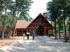 -合肥滨湖国家森林公园