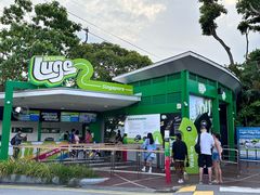 -圣淘沙天际线斜坡滑车
