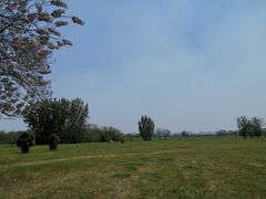 -汉长安城未央宫国家考古遗址公园