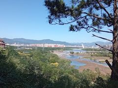 -7号院家宴.烧鸽子(门头沟店)