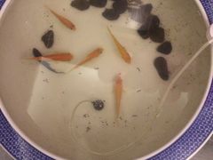 -北纬37°SPA养身会馆(湖西店)