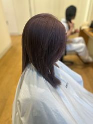 -程Studio