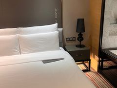-重庆富力艾美酒店