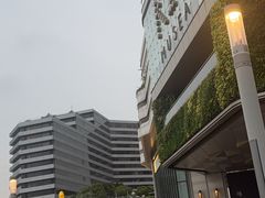 -星光大道