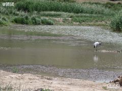 -新疆天山野生动物园