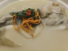 养颜白汁河豚-肆月河豚·新淮扬(金融街店)
