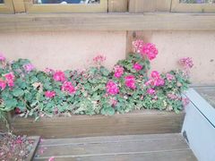 -木王宴语·野生鲜菌火锅(玉河店)