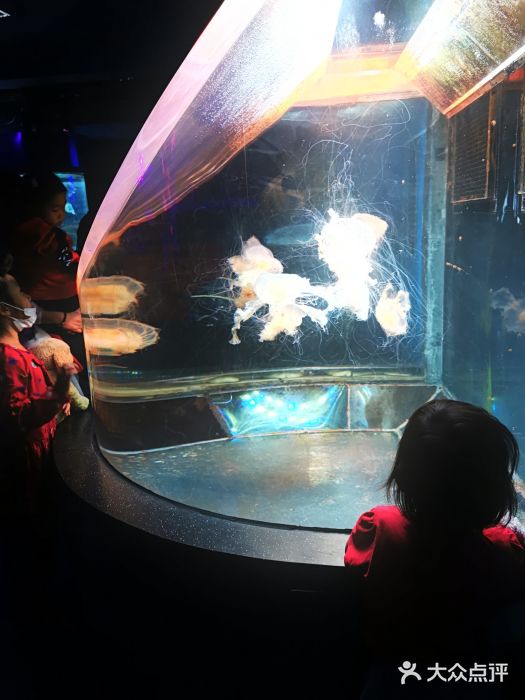 水母教室-图片-天津学习培训-大众点评网