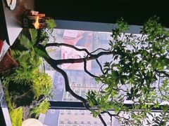 -雍容荟帝王蟹活龙虾展台自助(IFS黑金店)
