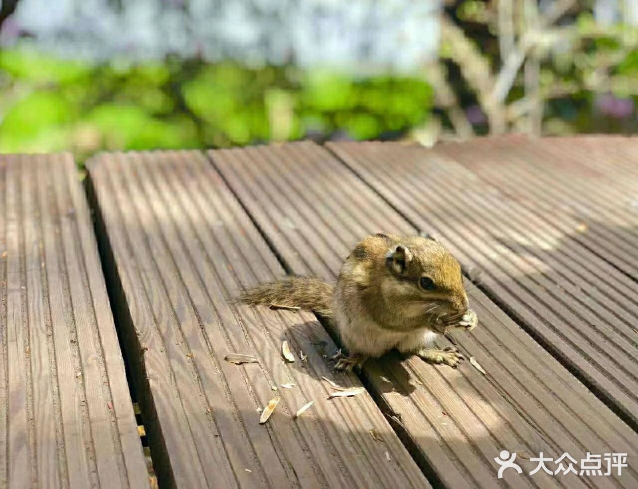 感受一下大自然