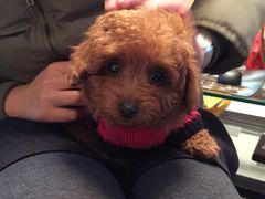 -外婆私房菜(新亚百货店)