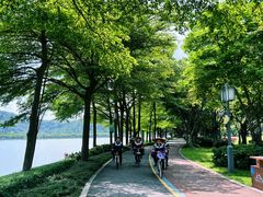 -顺峰山公园