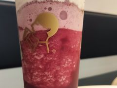 -喜茶(迪士尼小镇DP店)