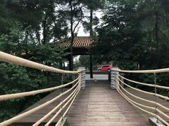 -铁山坪森林公园