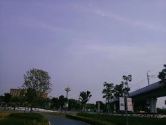 -宝安西湾红树林湿地公园