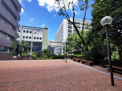 -香港大学