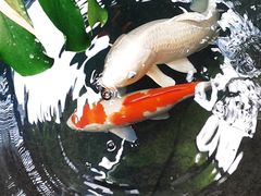 -聚缘堂·海鲜私房菜(松岭路店)