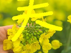 -营地公园·团建拓展·亲子户外(奉贤店)