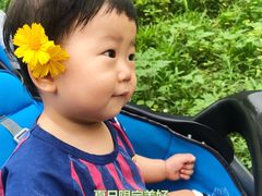 -白鹭湾湿地公园