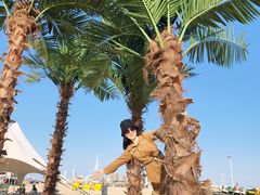 -那香海钻石沙滩浴场