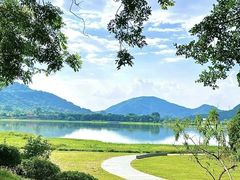 -风云岭森林公园