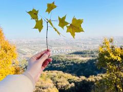 -北京西山国家森林公园