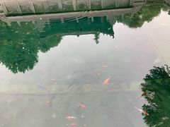 -百脉泉景区