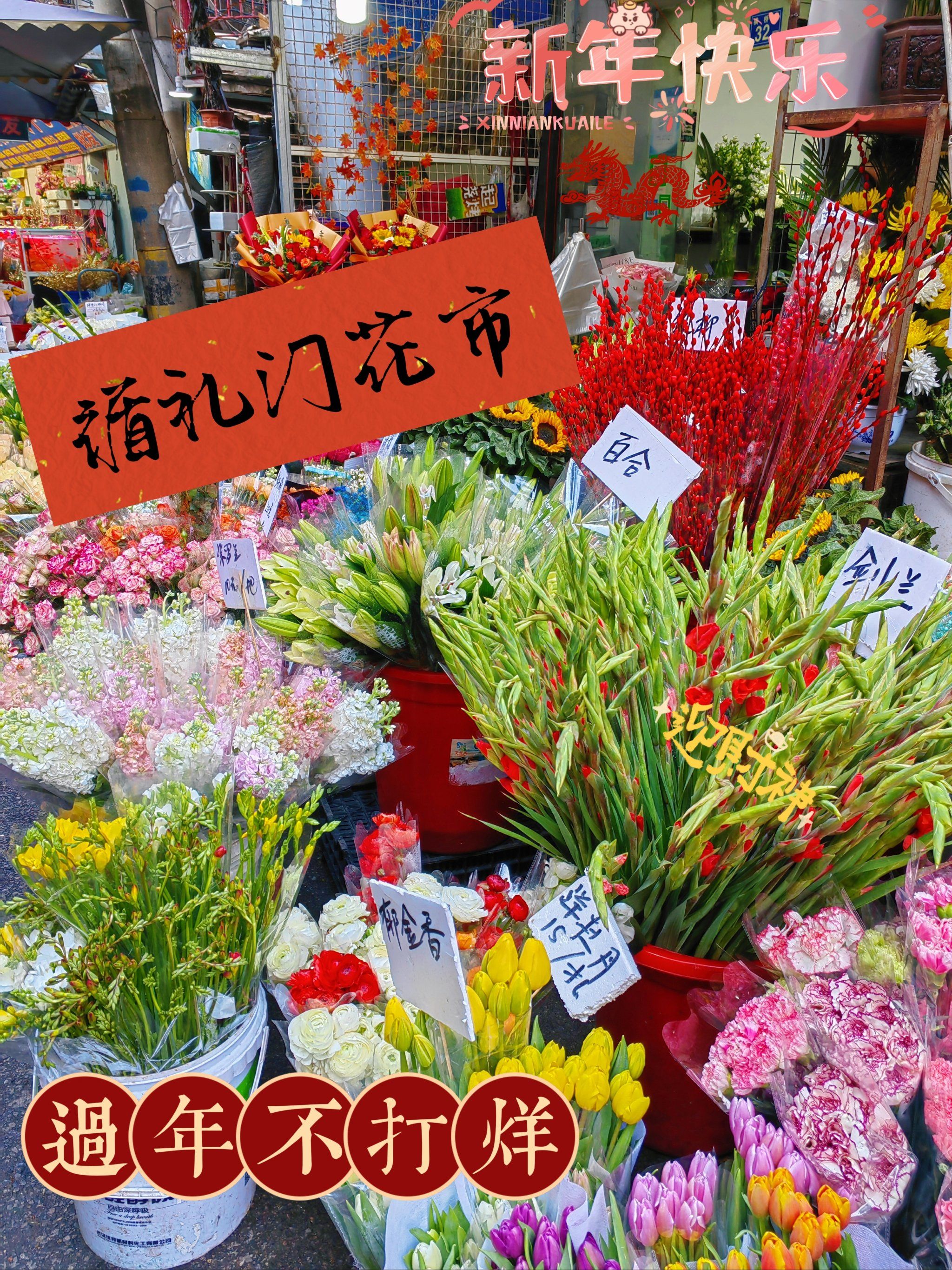 花市开啦!|单洞鲜花市场过年不打烊