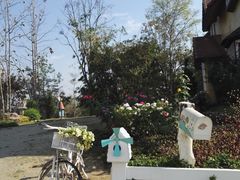 -黄色小屋