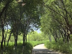 -西安浐灞国家湿地公园