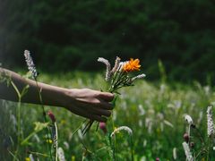 -白草畔自然风景区