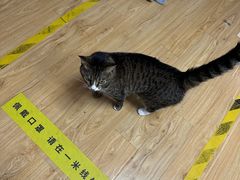 -剧狐剧本杀·月球探案馆(人民广场1号店)