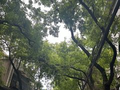 -大学习巷清真寺