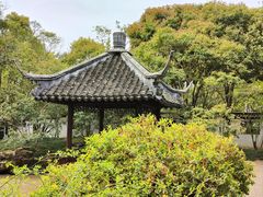 -上海醉白池公园
