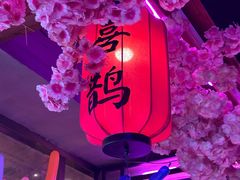 -喜鹊音乐酒馆(西街店)