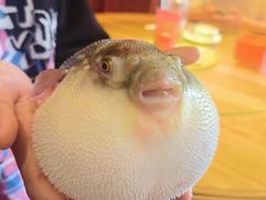 -永安鱼庄·镇江菜(丁卯店)